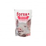 packaging de Forza