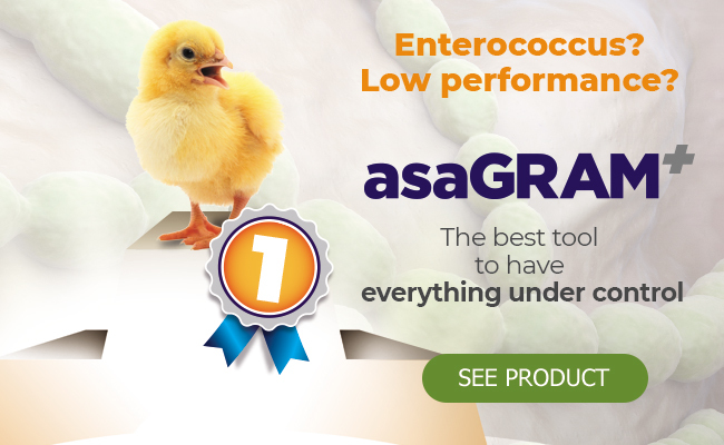 ASAGRAM, the best tool to have everything under control.