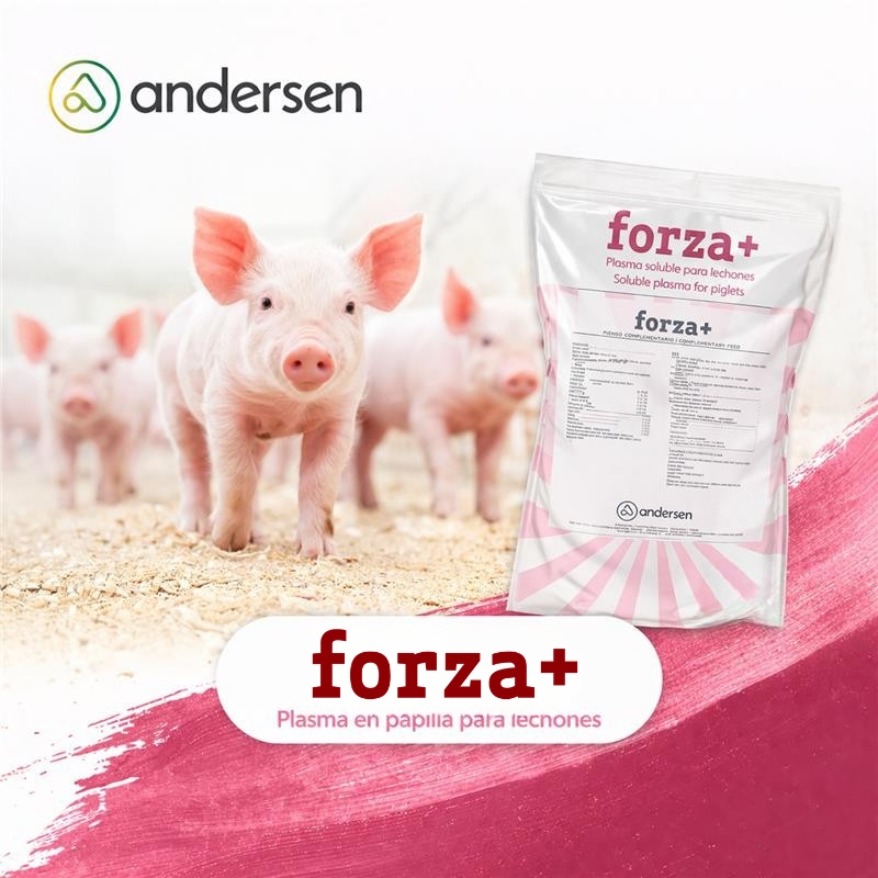 Forza+: suplemento proteico en papilla para optimizar el arranque post-destete