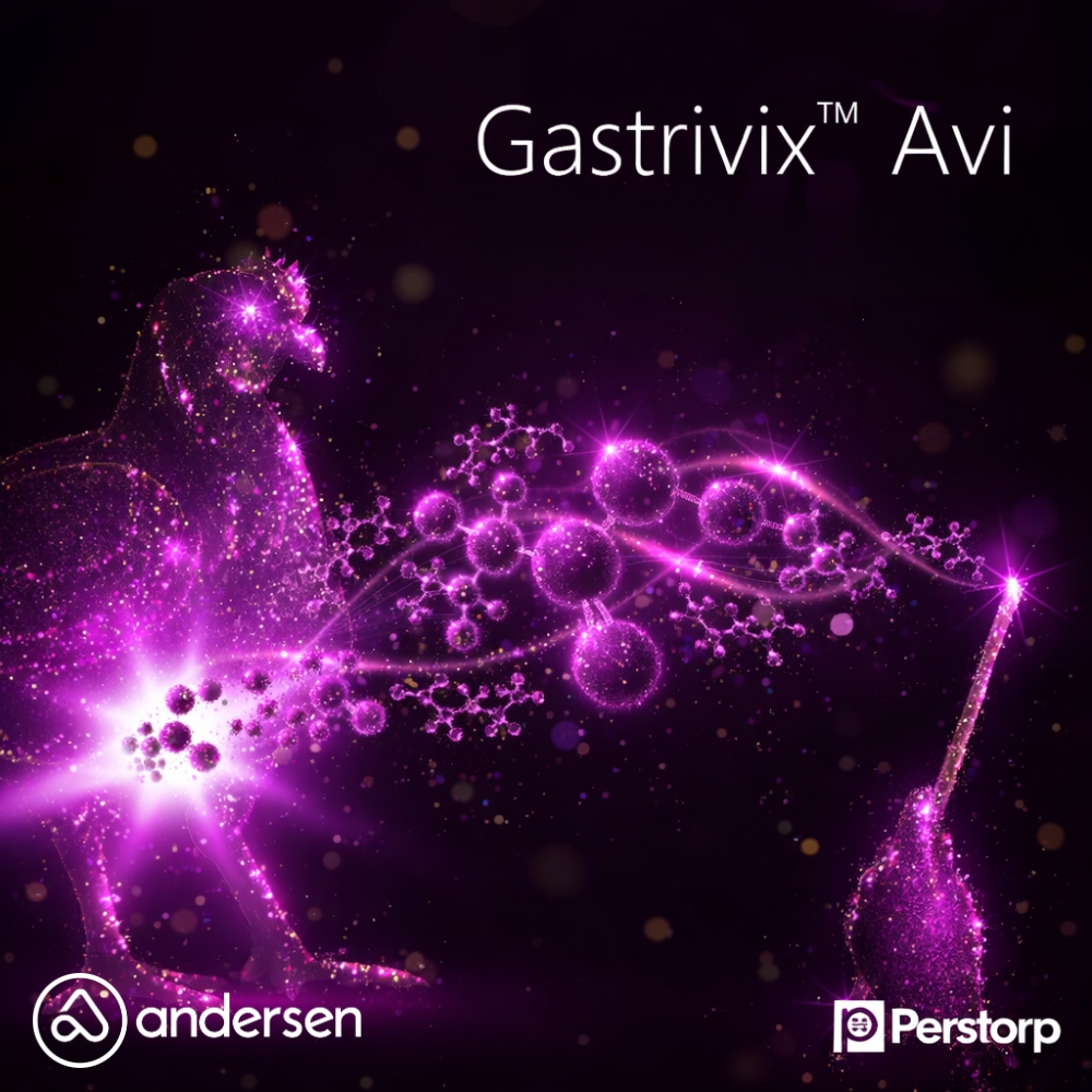 Gastrivix™ Avi: combinación de ácido butírico y valérico para la funcionalidad intestinal en broilers